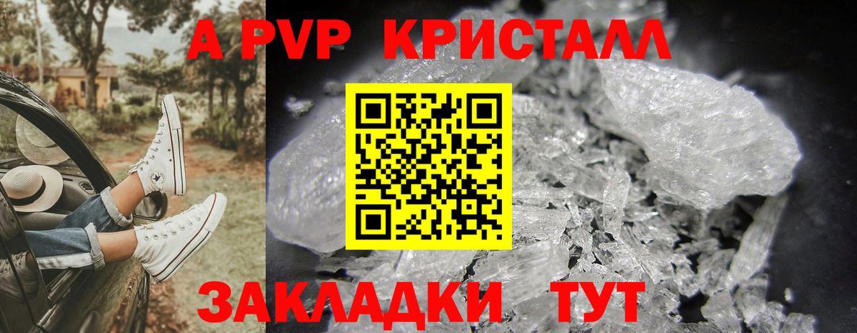 Альфа ПВП СК КРИС Сунжа