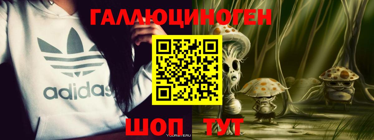 Сунжа  Псилоцибиновые грибы MAGIC MUSHROOMS  что такое наркотик  Вход с VPN  Псилоцибиновые грибы прущие грибы 